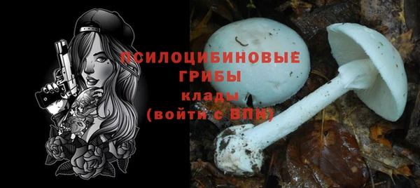 винт Армянск