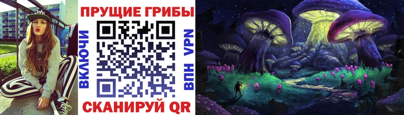 Галлюциногенные грибы ЛСД  Сенгилей 