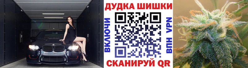 Шишки марихуана гибрид Сенгилей